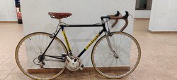 Vintage Pinarello Roadie | Togoparts Rides