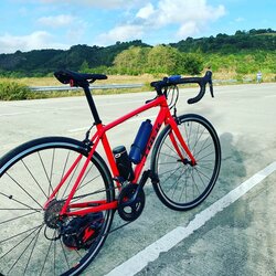 Trek Domane AL3 2020 | Togoparts Rides