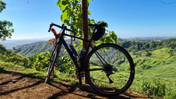 Jarvis | Togoparts Rides