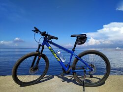 Tori | Togoparts Rides