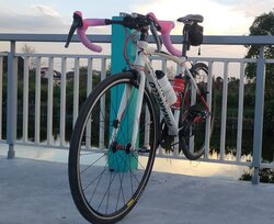 Reiner Serrano | Togoparts Rides
