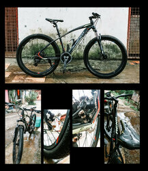 Jarvis | Togoparts Rides