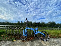 Bluey | Togoparts Rides