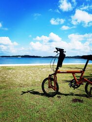 Birdy gogogo | Togoparts Rides