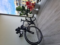 Volck Slate Ex | Togoparts Rides