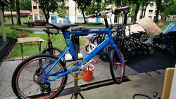 Java CL Velo | Togoparts Rides