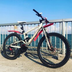 Commencal Meta 4.2 2008 | Togoparts Rides