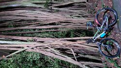 POLYGON MTB | Togoparts Rides