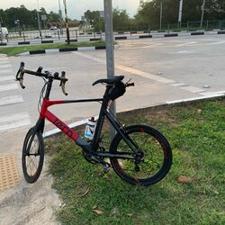 Tern surge pro | Togoparts Rides