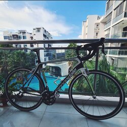 Cannon | Togoparts Rides