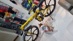 Just ride | Togoparts Rides