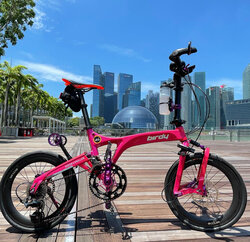 Flamingo Pink  | Togoparts Rides