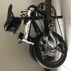 Slowpoke  | Togoparts Rides