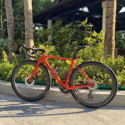 Orange Monkey | Togoparts Rides