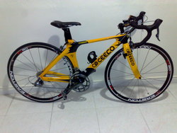 CEEPO STINGER 2008 | Togoparts Rides