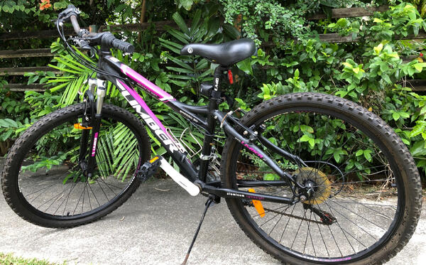 Mountain Bike: Rarely Used, Like New with Free Delivery | Togoparts Rides