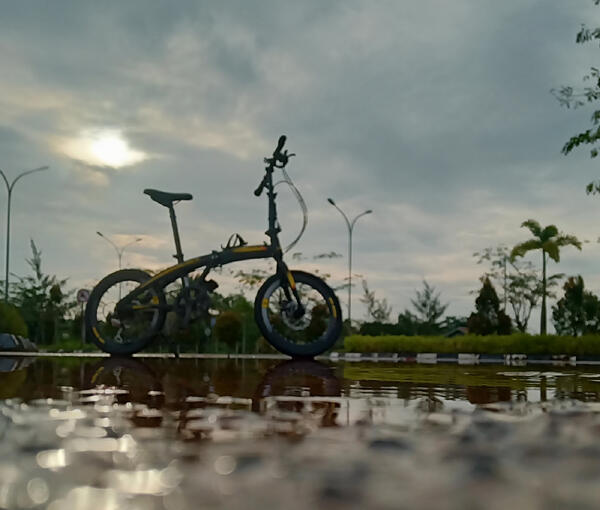Litle bee | Togoparts Rides