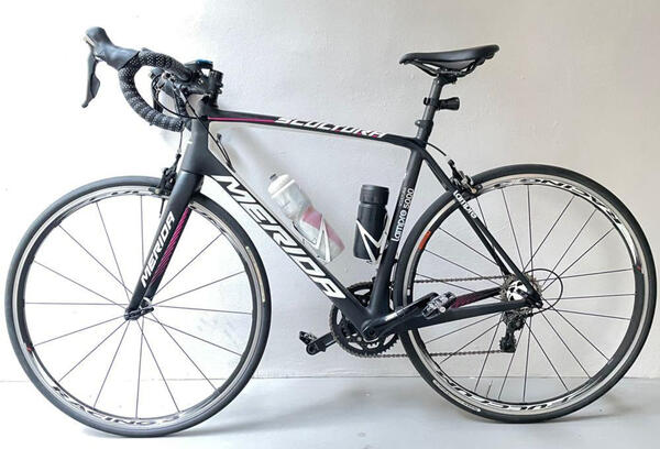trinx drive 1.0