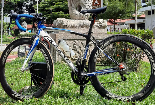 superb | Togoparts Rides