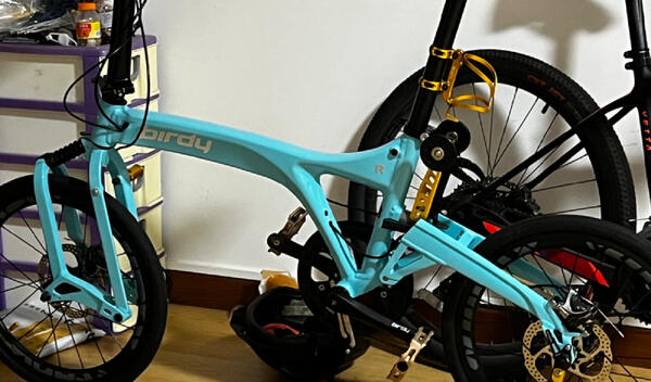 Bianchi Bird | Togoparts Rides