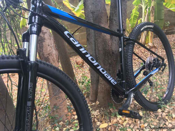 CanNondale trail 8 | Togoparts Rides