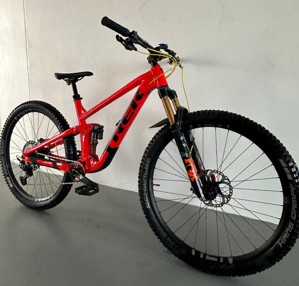 Molly | Togoparts Rides