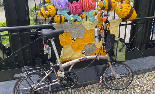Rosie | Togoparts Rides