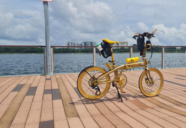 CRIUS Small Gold | Togoparts Rides