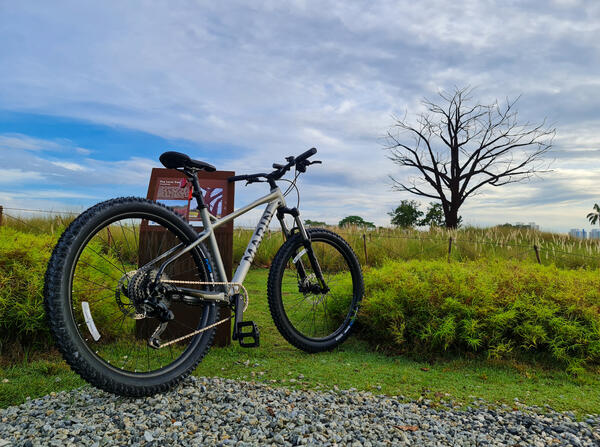 San Quentin | Togoparts Rides