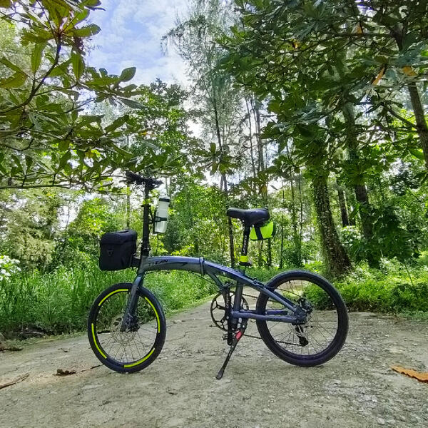 Elephant Bike | Togoparts Rides