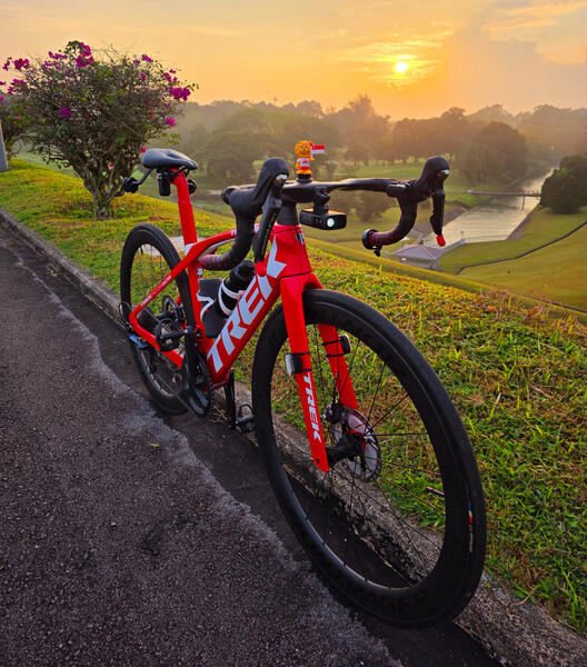 TT | Togoparts Rides