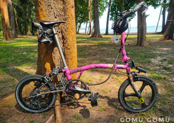 Gomu Gomu | Togoparts Rides