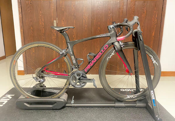 Black-pink Prince (WA) | Togoparts Rides