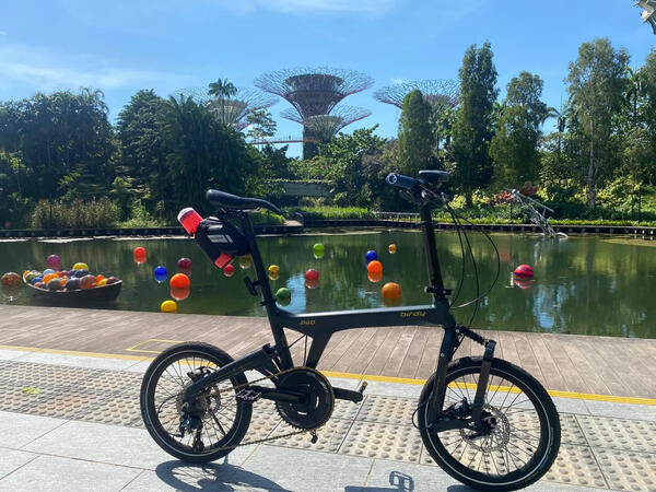 Dark Pegasus | Togoparts Rides