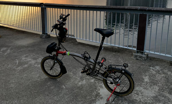 Flying Rabbit | Togoparts Rides
