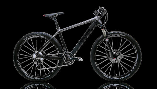 Polygon Cozmic RX 3.0 | Togoparts Rides