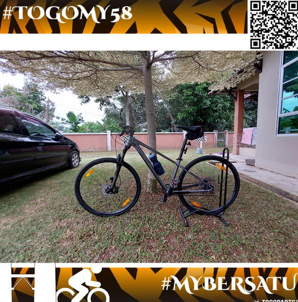 Scotty Greyhound | Togoparts Rides