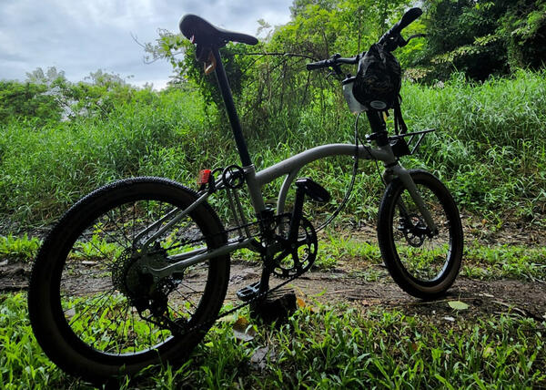The White Moth | Togoparts Rides