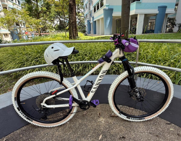 Purple Bunny | Togoparts Rides