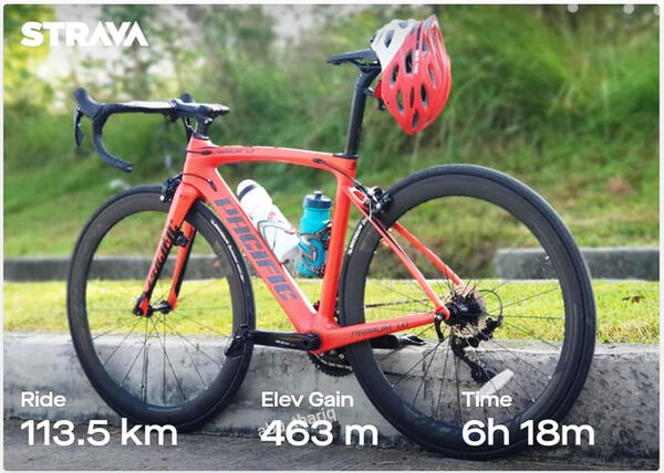 The ORANGE | Togoparts Rides