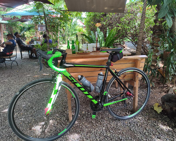 Scottie | Togoparts Rides