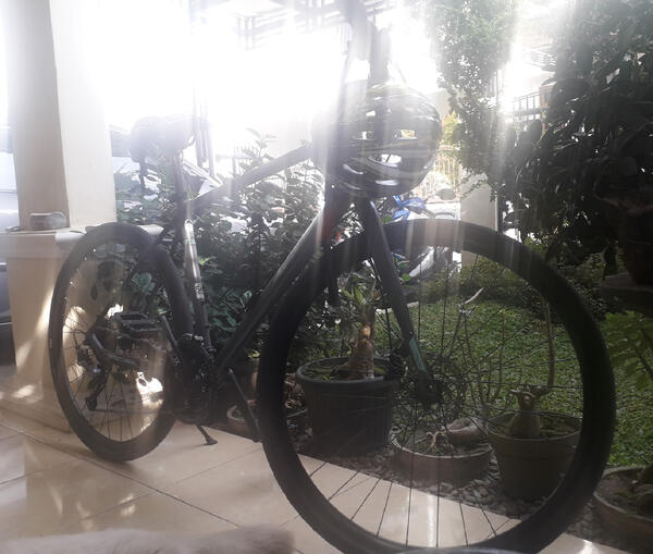Path 3 | Togoparts Rides