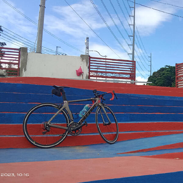Twitty | Togoparts Rides