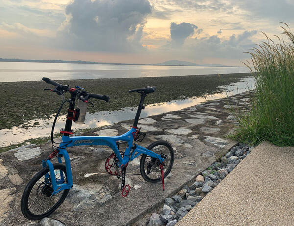 Birdy GT | Togoparts Rides