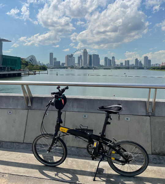 Sissy | Togoparts Rides