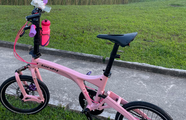 Pinky | Togoparts Rides