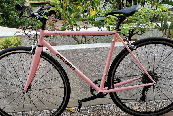 Pink Panther | Togoparts Rides