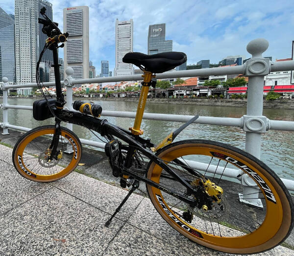 Crius Gold | Togoparts Rides