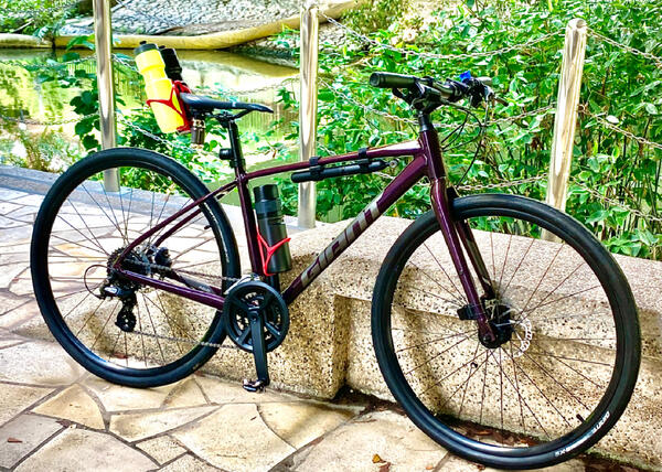 Giant Escape 2 Disc | Togoparts Rides