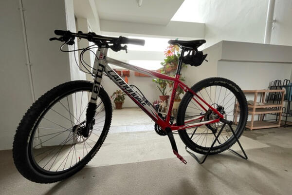 Cannondale lefty, Flash Carbon 4 (Medium)/ Red For Sale | Togoparts Rides